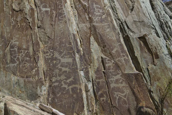 Mountain rock carvings. Altai. — Stock Photo, Image