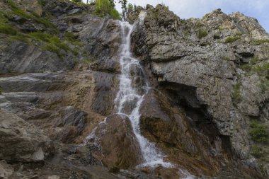 Altay Dağları 'nda şelale. Güzel doğa manzara. Yo