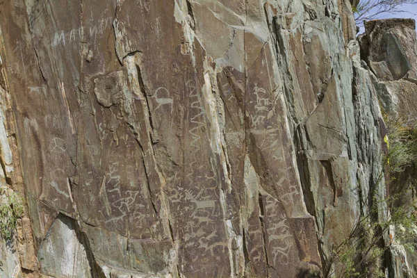 Mountain rock carvings. Altai. — Stock Photo, Image