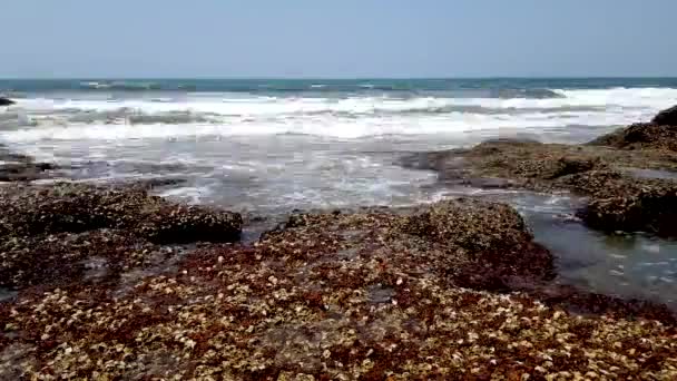 Timelapse of stony coast of the Arabian Sea — Stock Video