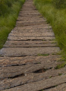 Ahşap yol, Altay dağları