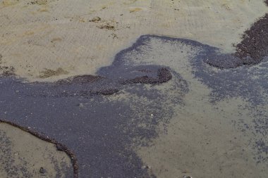 Petrol ürünleri okyanus kıyısı kirlenmiş