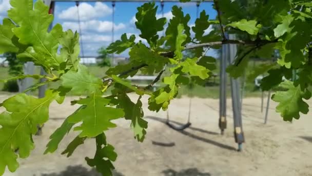 Feuilles de chêne vert jeunes en plein soleil sur des balançoires vides attachantes — Video