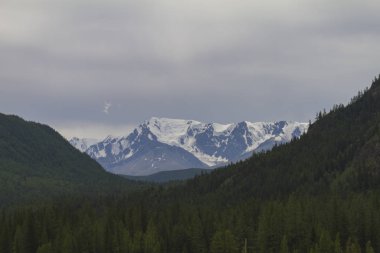 Altai dağlarında kar tepesi. Alt görünüm.