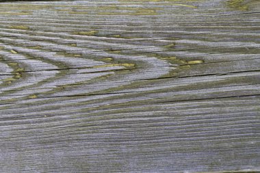 Çatlaklar ile eski çam tahtası, kapalı koyu yeşil boya