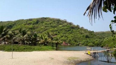 Arambol, Goa, Hindistan'daki tatlı gölün timelapse'i. İnsanlar dinlensin, yarasa