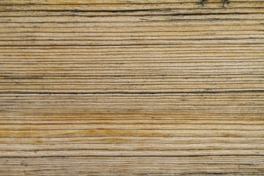 Çatlaklar ile eski düz çam tahtası.