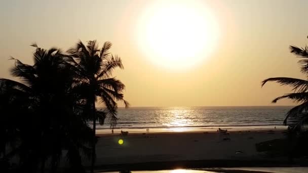 Puesta de sol en el mar Arábigo. Pinturas brillantes, siluetas de personas en la orilla del mar. Hojas de cocoteros — Vídeo de stock