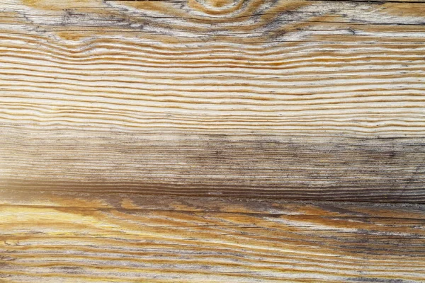 Pine board com rachaduras antigas — Fotografia de Stock