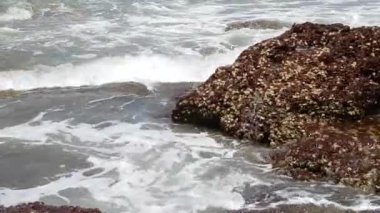 Dalgalar kıyıdaki büyük kayalara çarpıyor. Su sıçrıyor. Kapatın. Hindistan, Goa.