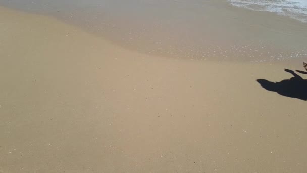人走在沙滩上的白沙滩上.腿在海洋附近行走。赤脚在沙滩上波涛汹涌. — 图库视频影像