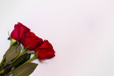 Fotokopi alanı olan beyaz arka planda üç kırmızı gül.