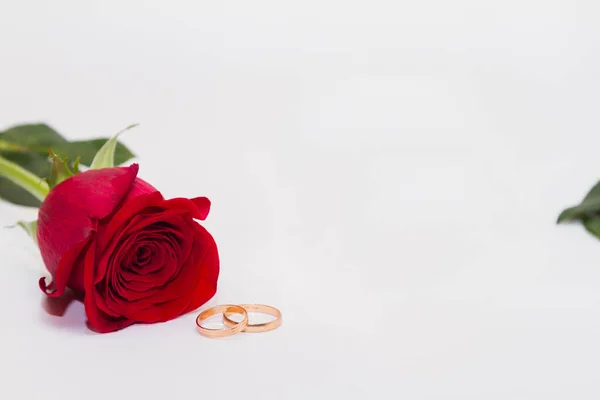 Pojedynczy czerwony kwiat róża na białym tle ze złotymi pierścieniami w pobliżu. — Zdjęcie stockowe