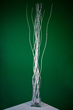 branches in vase on background