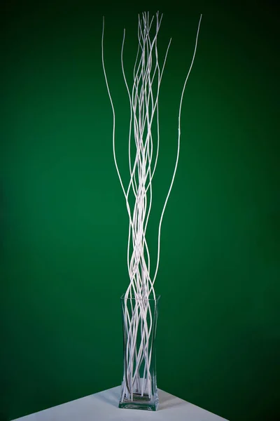 branches in vase on background