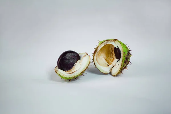fresh ripe Chestnut on white background