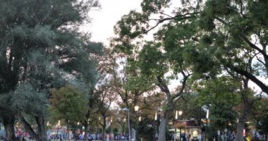 Busy Day in Vienna Austria