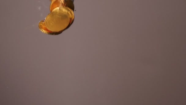 Gold Coins Falling Background — Vídeo de Stock