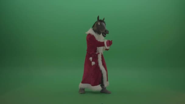 Man Santa Claus Costume Horse Mask Dancing Isolated Green Background – Stock-video