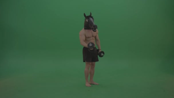 Man Horse Head Dumbbell Green Screen Background — Stock Video