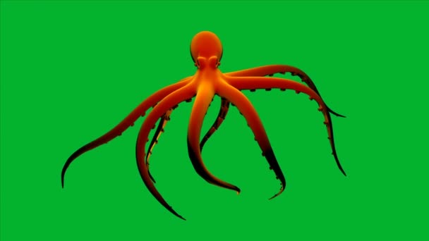 Pulpo Animado Naranja Pantalla Verde Bucle Movimiento Fondo Onda Meditación — Vídeo de stock