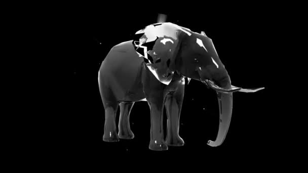 Elephant Holographic Loop Personnage Sur Fond Mouvement Noir — Video