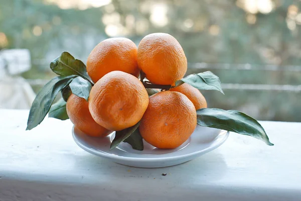 Agrumes Mandarines Sur Une Assiette Aux Feuilles — Photo