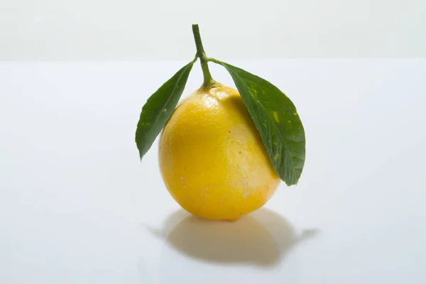 Cítricos Limones Sobre Fondo Blanco Con Hojas —  Fotos de Stock