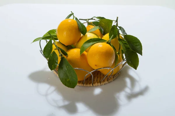 Citrus fruits, lemons on a white background with leaves.