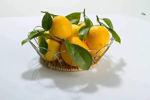 Agrumes Citrons Sur Fond Blanc Avec Des Feuilles — Photo