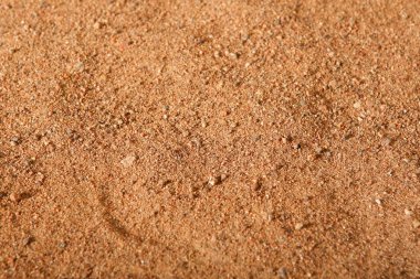 Deniz kum, doku, arka plan.