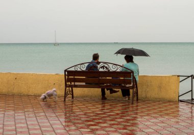 İki kişi bir bankta oturup ve yürüyen bir köpek yanında deniz hayranım. Krasnodar Krayı, Lazarevsky şehir, mesire.