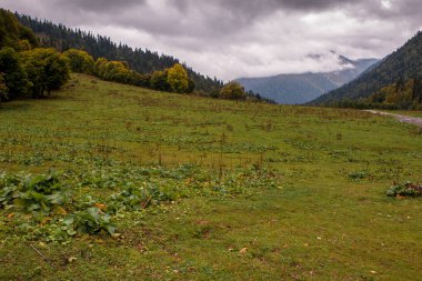 Abhazya'da, Auathara dağ manzarası.