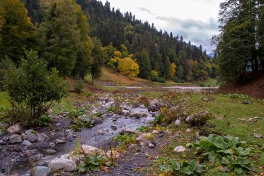 Abhazya'da, Auathara dağ manzarası.