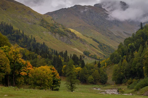 Vallée Dans Les Montagnes Auathara Abkhazie — Photo