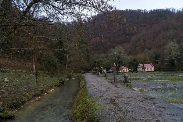 Forel Landbouw Bergachtige Abchazië — Stockfoto