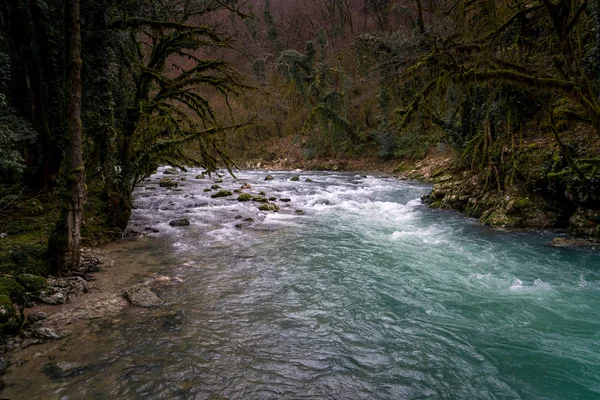 Rivière Noire Dans Les Montagnes Abkhazie — Photo