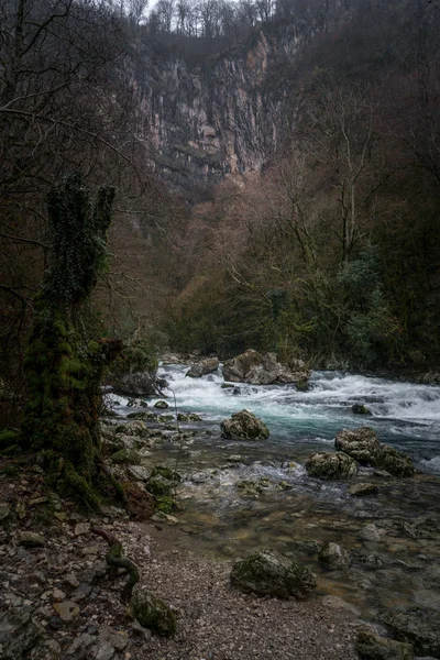 Μαύρος Ποταμός Στα Βουνά Της Αμπχαζίας — Φωτογραφία Αρχείου