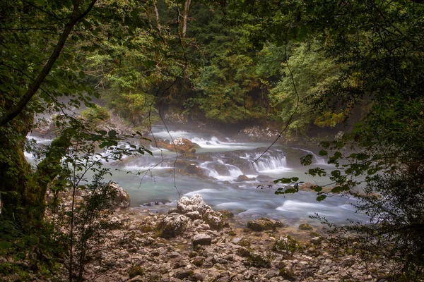 Schwarzer Fluss Den Bergen Von Abchasien — Stockfoto