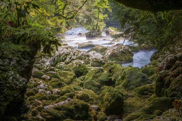 Schwarzer Fluss Den Bergen Von Abchasien — Stockfoto