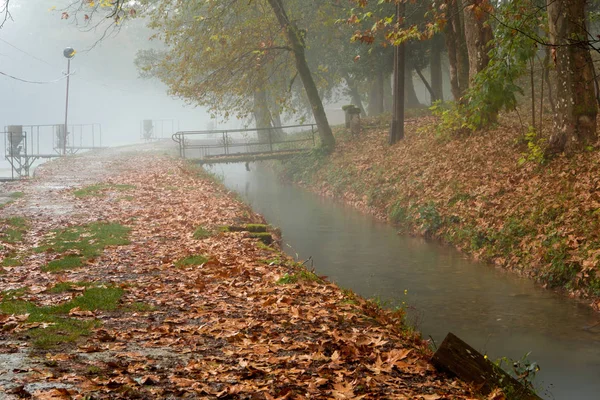 Herbstpark Nebel — Stockfoto