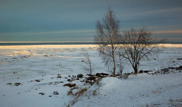 美丽的海岸线的湖的冬天的风景 — 图库照片
