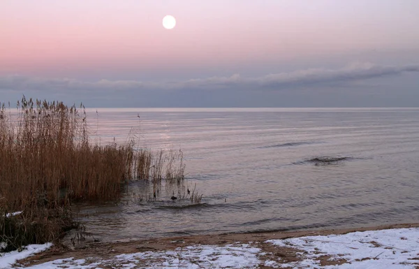Winterlandschaft Des Sees Mit Schöner Küste — Stockfoto