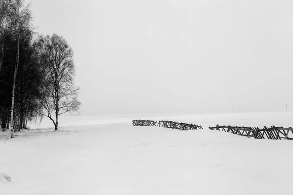 Alanında Kış Manzarası — Stok fotoğraf