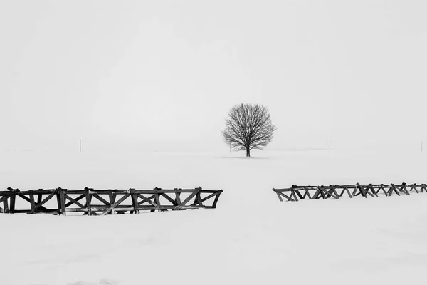 Paesaggio Invernale Nel Campo — Foto Stock