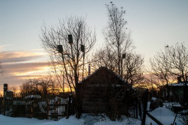 Köy, sabah erkenden ayaz baharda kuşlar geldi.