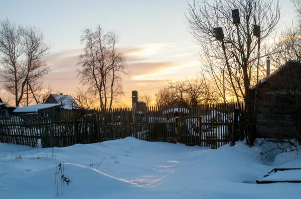 Birds Arrived Spring Village Frosty Early Morning — Stock Photo, Image