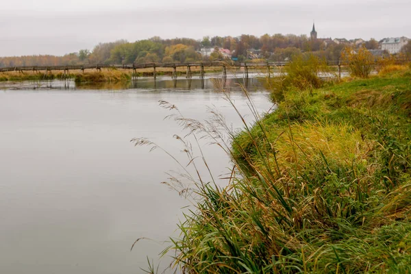 Flodstranden Med Örter Och Träbro Bakgrunden — Stockfoto