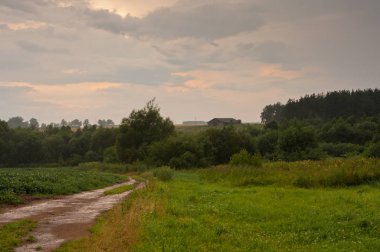 Tarım alanında kırsal toprak yol.