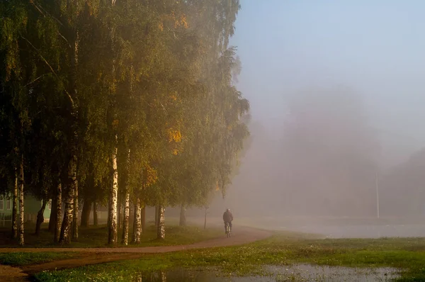 Mattina Nebbiosa Nel Villaggio Vileika Silhouette Diverse Persone Che Camminano — Foto Stock